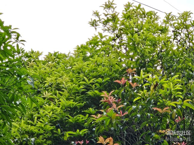 【清明踏春季】+清明踏青