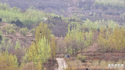 【人間四月天】春回大地