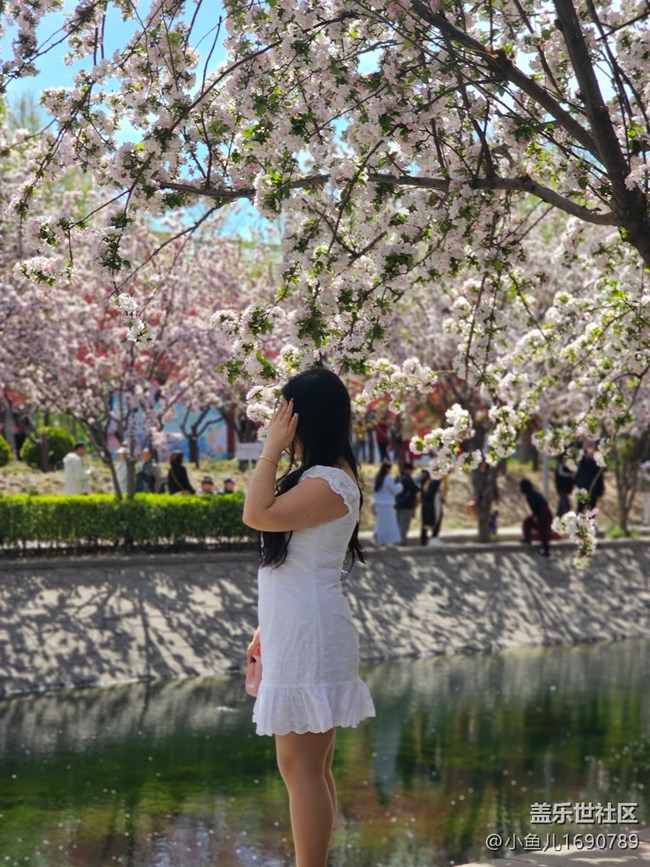 【拈花拾趣】花與少女