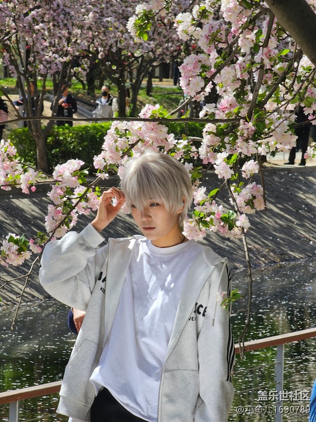 【拈花拾趣】花美人更美