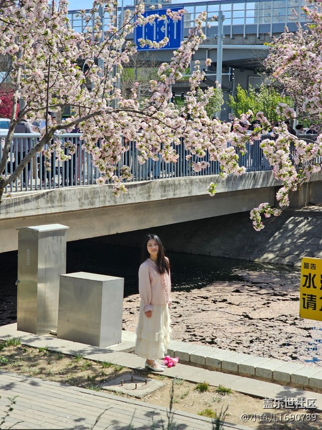 【拈花拾趣】花美人更美
