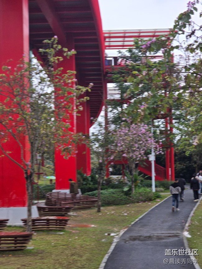 【活動回顧】荔枝花的物語是？