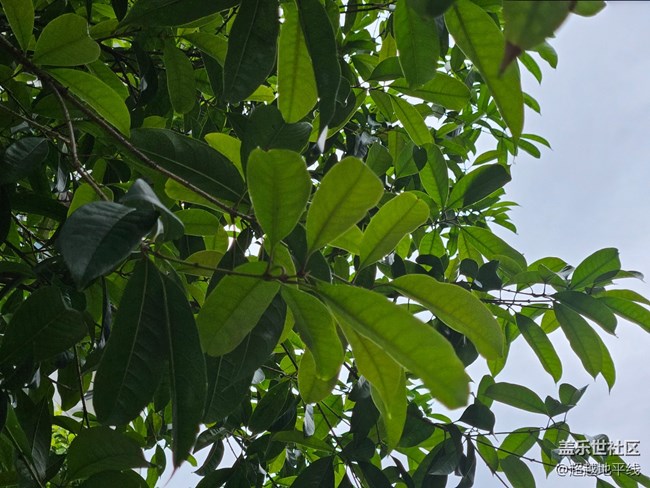 【清明踏春季】+清明踏青