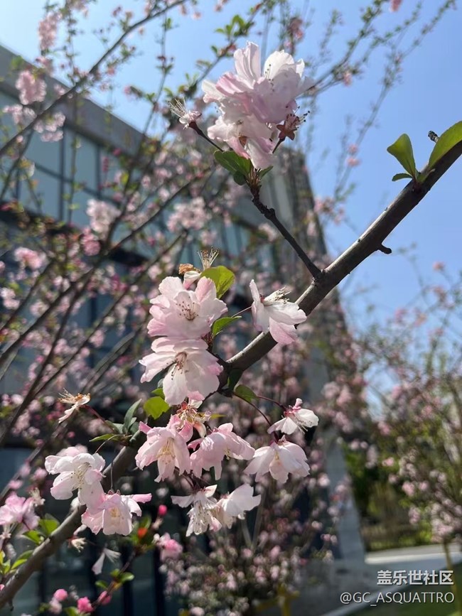 【清明踏春季】好風景
