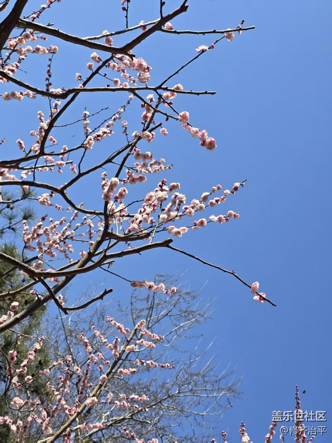 【拈花拾趣】藍天白云草青青