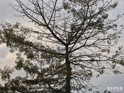 【人間四月天】+四月世界