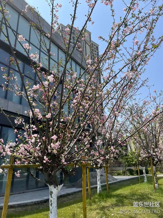 【清明踏春季】好風景