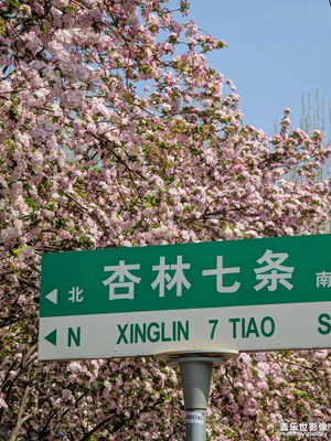 【人間四月天】＋看一場海棠雪