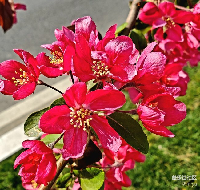 【春天的故事】+郁郁蔥蔥