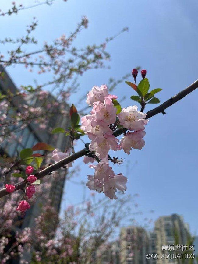 【清明踏春季】好風景