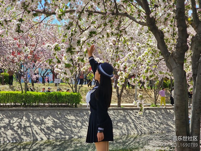 【拈花拾趣】花與少女