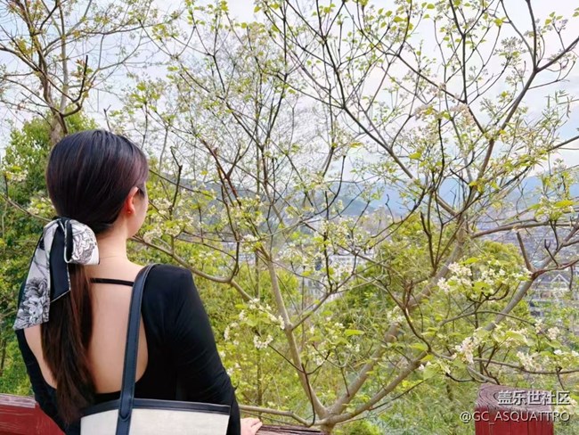 【Galaxy影像】#踏青+好天氣