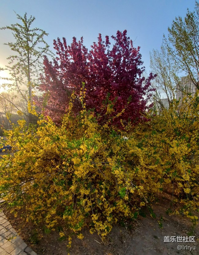 【春天的故事】+郁郁蔥蔥