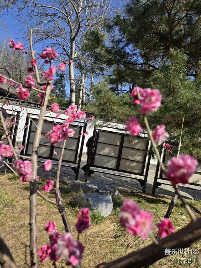 【拈花拾趣】藍天白云草青青