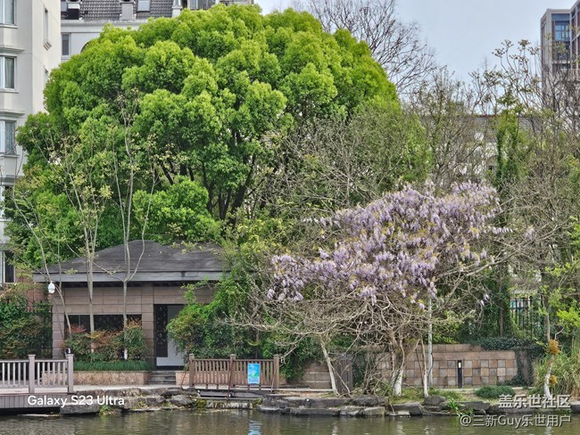 【清明踏春季】公園春色