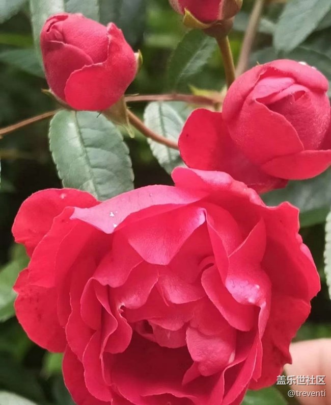 【Galaxy影像】#踏青+出去玩