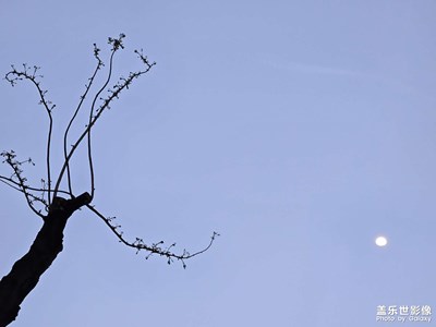 【人間四月天】+月兒真美