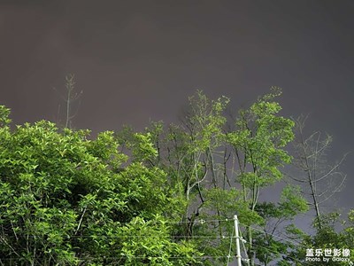 【人間四月天】+四月的夜晚