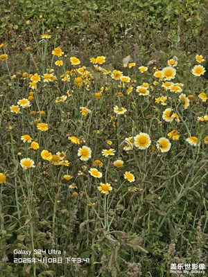 【人間四月天】春滿(mǎn)四月