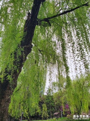 【人間四月天】天光云影