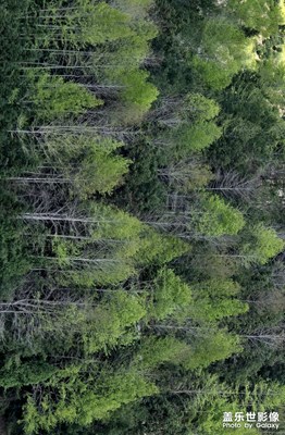 【人間四月天】 