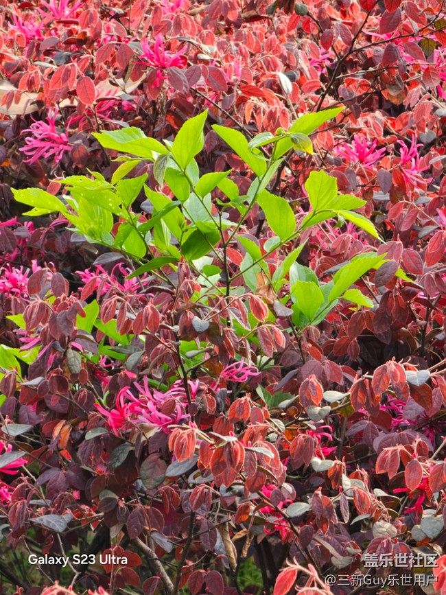 【清明踏春季】公園春色