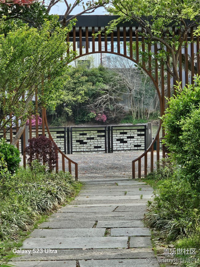 【清明踏春季】公園春色