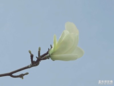 【春之夜】-春滿人間