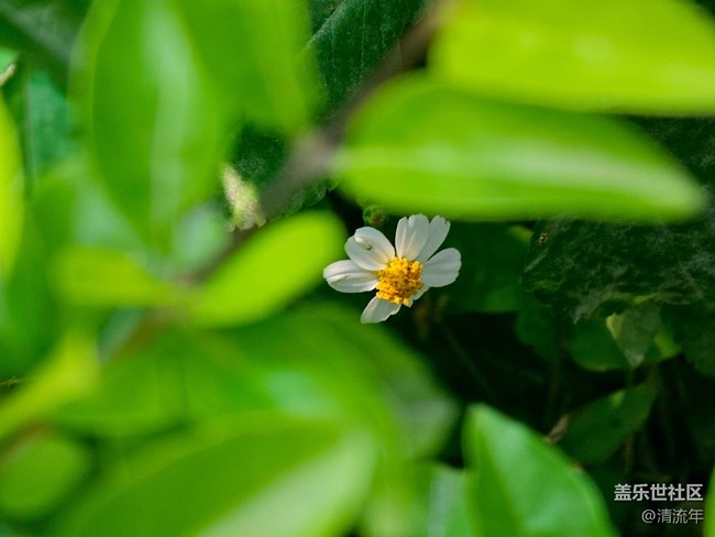 【早春物語(yǔ)】溫馨早春