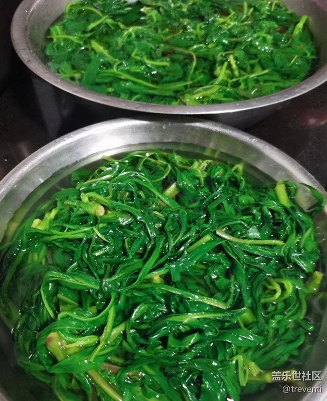 【春色撩人】上山