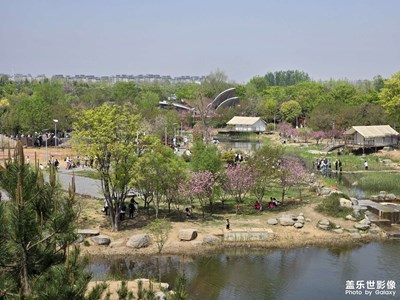 【人間四月天】+綠水蝌蚪