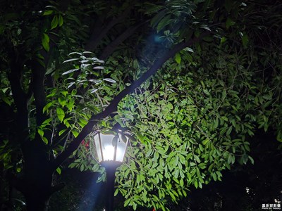 【春之夜】+四月的夜晚