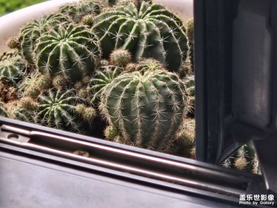 【人間四月天】+小快樂(lè)