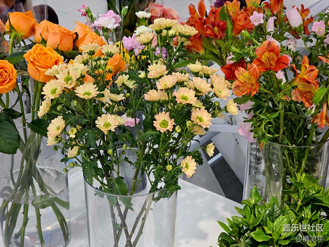 【早春物語(yǔ)】溫馨早春