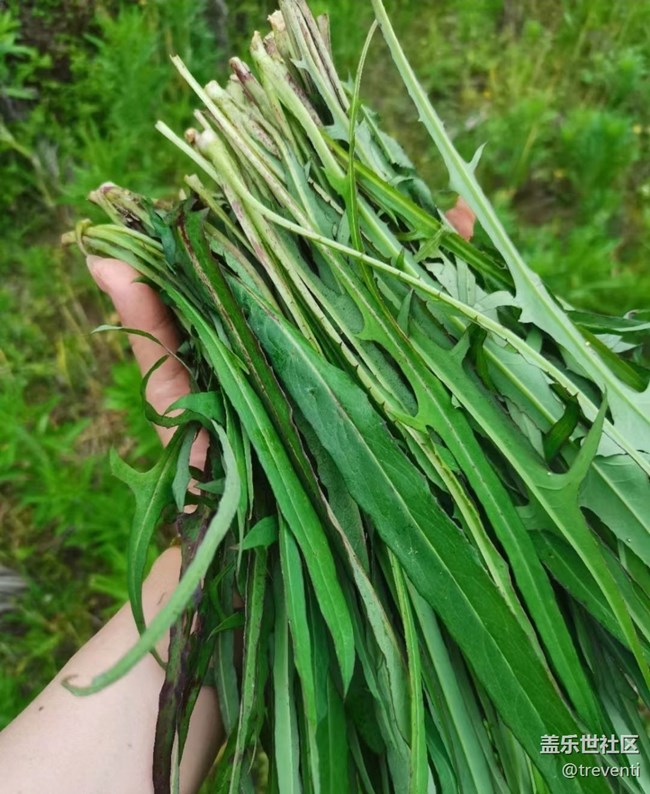 【春色撩人】上山