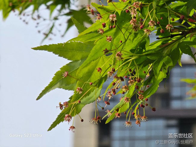 【清明踏春季】公園春色