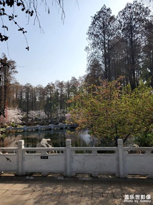 【人間四月天】+公園