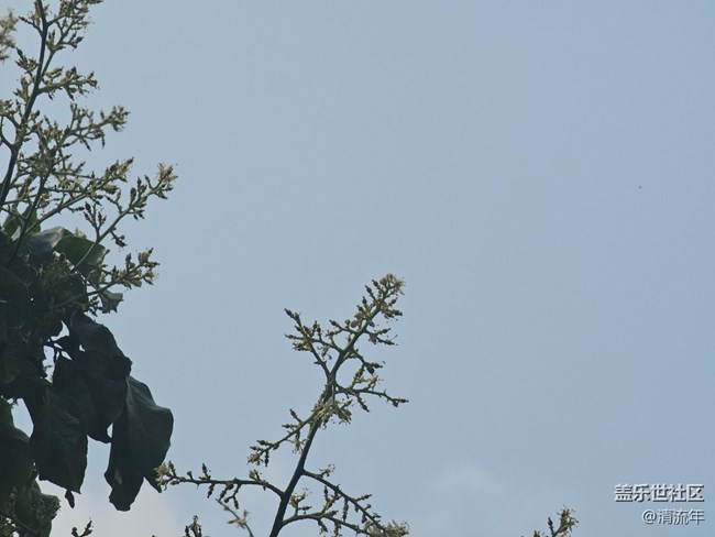 【青青嫩芽】4月的嫩芽