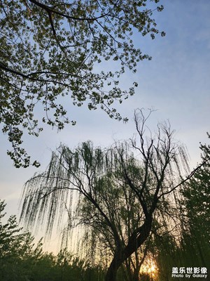 人間四月天 清新的天空