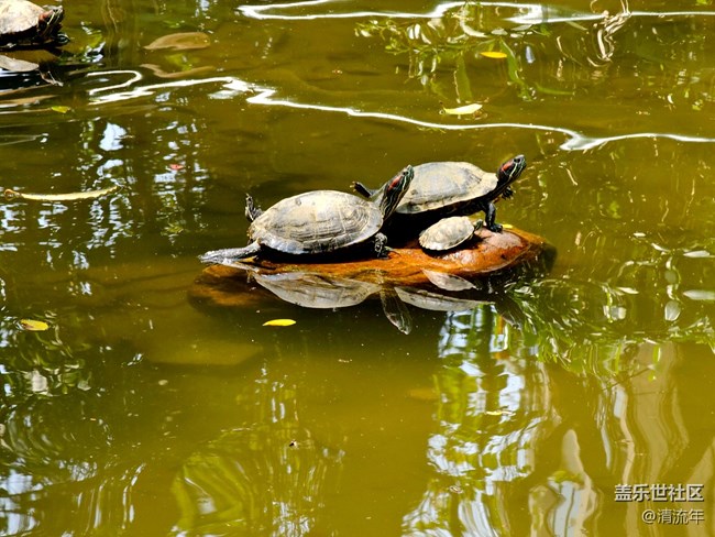 【早春物語(yǔ)】溫馨早春