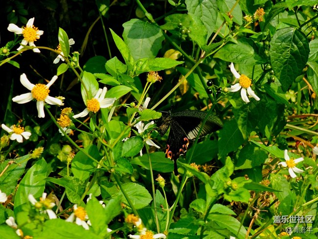 【早春物語(yǔ)】溫馨早春