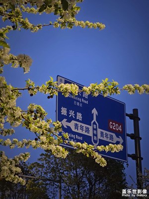 【春之夜】山楂樹下