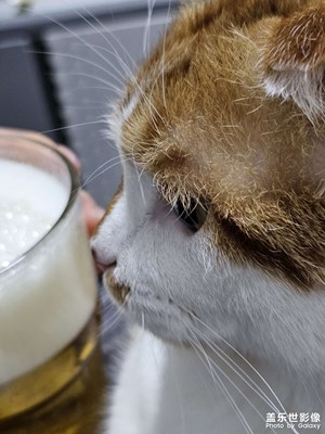 【慢想時光】+四月生活