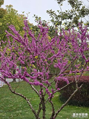 【慢想時(shí)光】+春日里的悠然時(shí)光