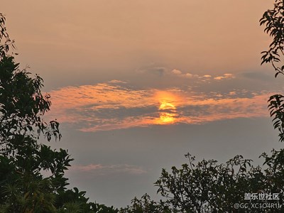 【春之夜】夕陽西下