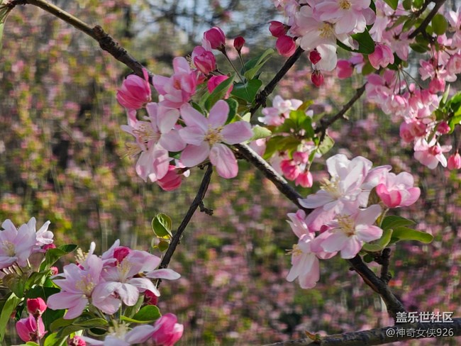 【拈花拾趣】點(diǎn)春