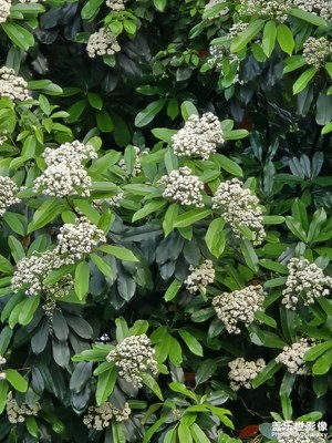 【慢想時(shí)光】+四月碎片