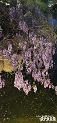 【春之夜】 春江花月夜