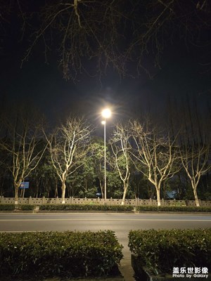 【春之夜】+ 春夜的路邊