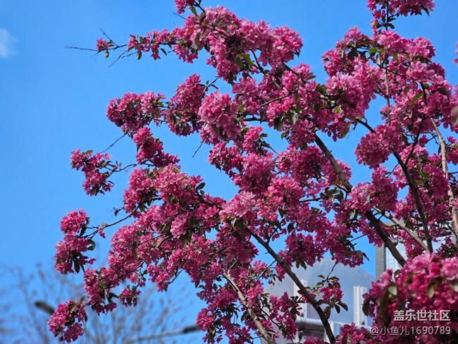 【拈花拾趣】顏色